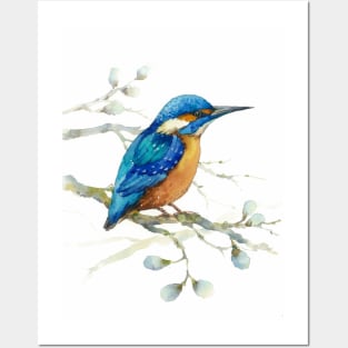 kingfisher Posters and Art